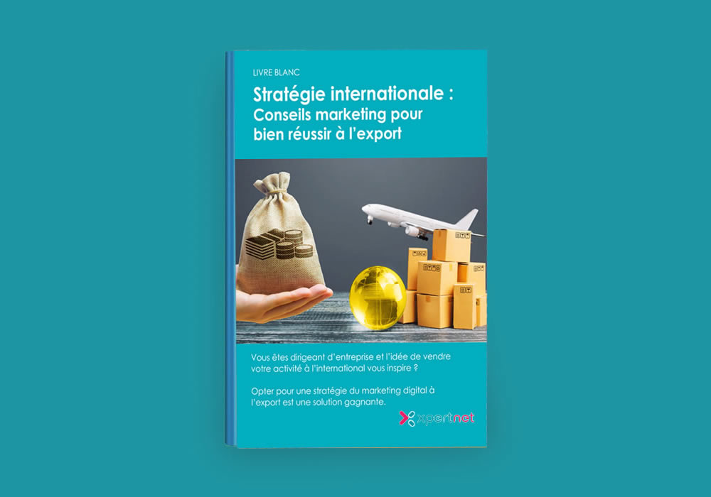 Stratégie internationale : Conseils marketing pour bien réussir à l’export